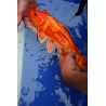 koi numéro 69