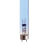 Lampe TL UV 10W 34.5 cm